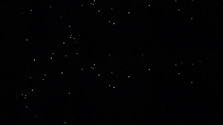 Audi Dealer Convention